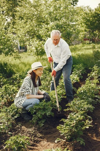 Caregiver helping elderly man in garden